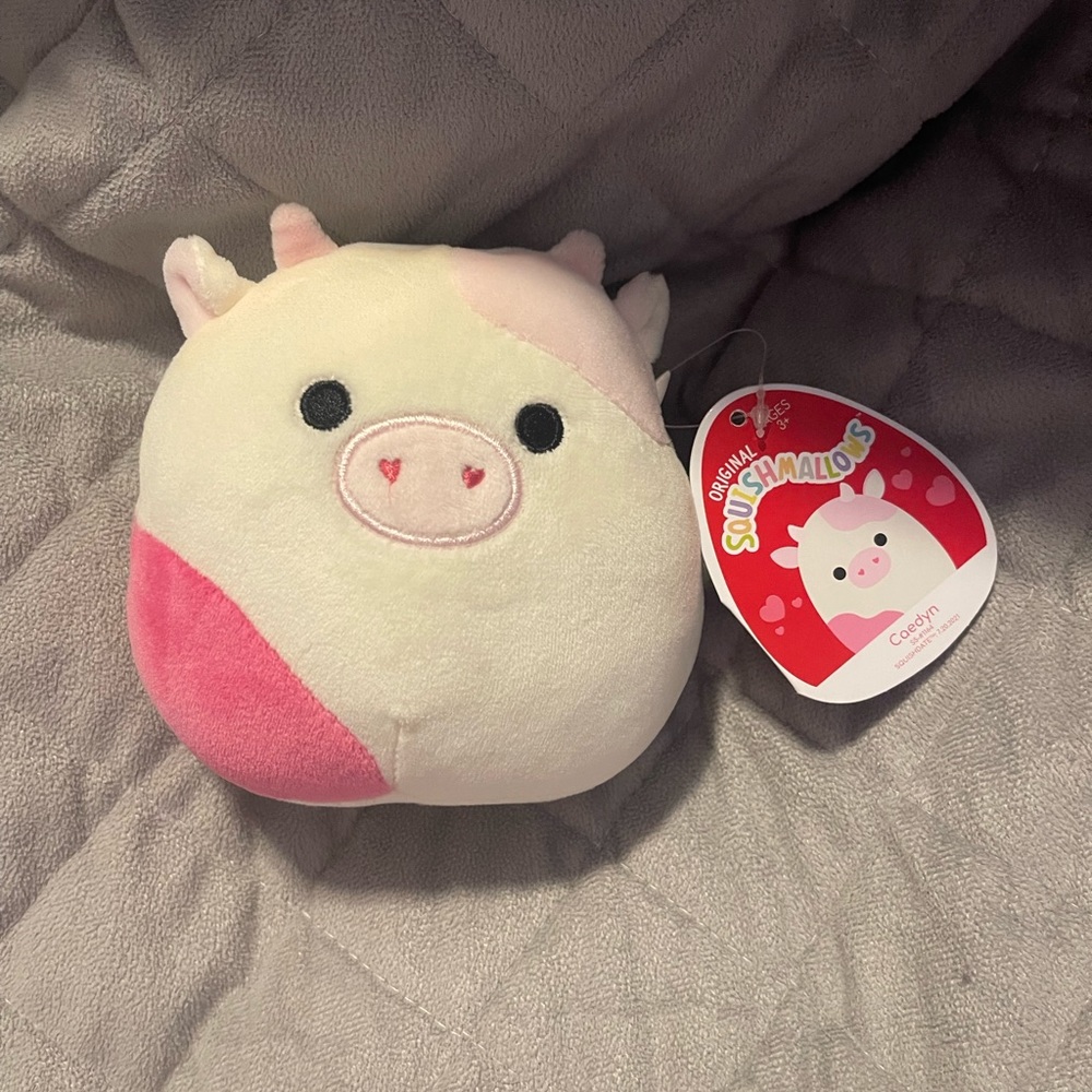 Caedyn squishmallow